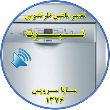 صدای زیاد ماشین ظرفشویی در نبوت - تعمیر ظرفشویی نبوت