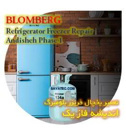 خدمات تعمیر یخچال فریزر بلومبرگ اندیشه فاز یک - blomberg refrigerator freezer repair andisheh phase 1