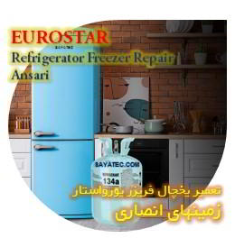 خدمات تعمیر یخچال فریزر یورواستار زمینهای انصاری - euorostar refrigerator freezer repair ansari