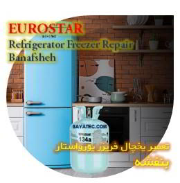 خدمات تعمیر یخچال فریزر یورواستار بنفشه - euorostar refrigerator freezer repair banafsheh