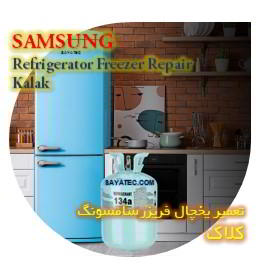 خدمات تعمیر یخچال فریزر سامسونگ کلاک - samsung refrigerator freezer repair kalak