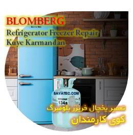 خدمات تعمیر یخچال فریزر بلومبرگ کوی کارمندان - blomberg refrigerator freezer repair kuye karmandan