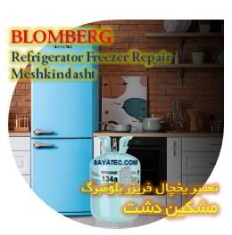 خدمات تعمیر یخچال فریزر بلومبرگ مشکین دشت - blomberg refrigerator freezer repair meshkindasht