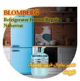 خدمات تعمیر یخچال فریزر بلومبرگ نبوت - blomberg refrigerator freezer repair nabovvat