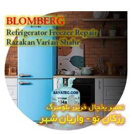 خدمات تعمیر یخچال فریزر بلومبرگ رزکان - blomberg refrigerator freezer repair razakan