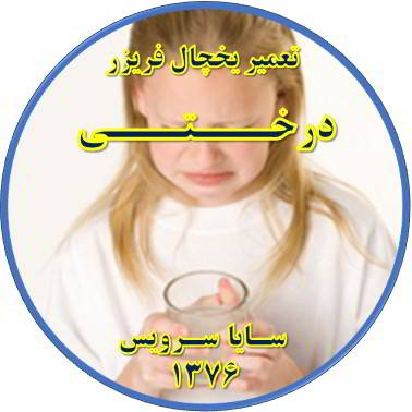 آب آبسردکن یخچال فریزر بو و طعم بدی دارد تعمیر در درختی - تعمیر یخچال درختی - تعمیر فریزر درختی - تعمیر یخچال فریزر درختی  - freezer repair derakhti - refrigerator repair derakhti - سایا سرویس