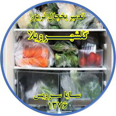 مواد غذایی در یخچال یخ می زند تعمیر در گلشهرویلا - تعمیر یخچال گلشهرویلا - تعمیر فریزر گلشهرویلا - تعمیر یخچال فریزر گلشهرویلا  - freezer repair golshahrvila - refrigerator repair golshahrvila - سایا سرویس