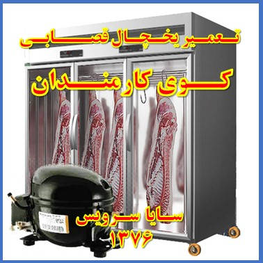 showcase refrigerator Butchers repair kuye karmandan - تعمیر یخچال ویترینی سوپر گوشت کوی کارمندان - تعمیر یخچال ویترینی قصابی کوی کارمندان - سایا سرویس